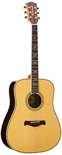 Richwood A-70–VA Guitar
