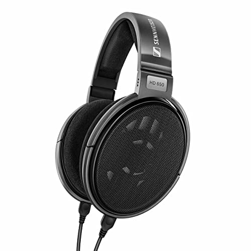 Sennheiser Consumer Audio HD 650 - Audiophile Hi-Res Open Back Dynamic...