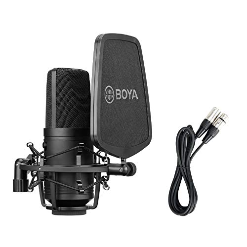 BOYA Large Diaphragm Cardioid Condenser XLR Microphone for Studio,...