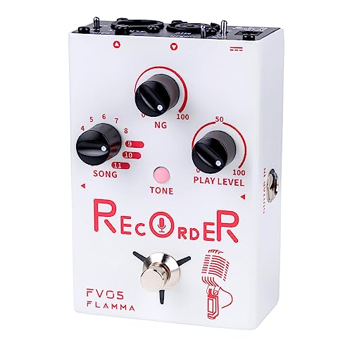 FLAMMA FV05 Recorder Vocal Effects Processor with 11 Recording slots...