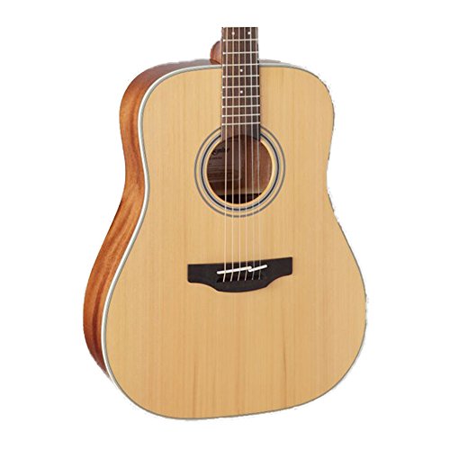 Takamine 6 String Acoustic Guitar, Right Handed, Natural (GD20-NS)